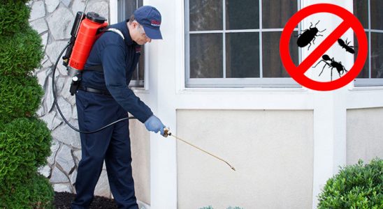 Bartın Hamam Böceği İlaçlama böcek ilaçlama ve haşere kontrolü — ilaclama-tr.com